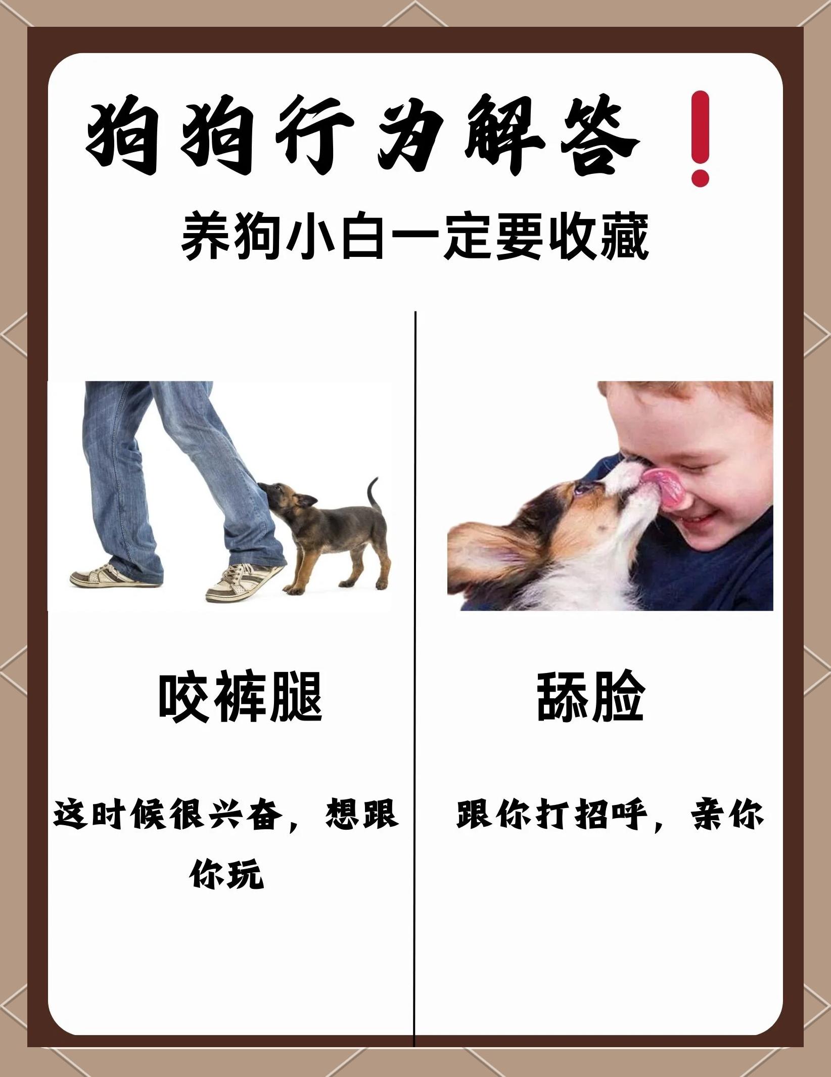 梦到狗咬是什么意思